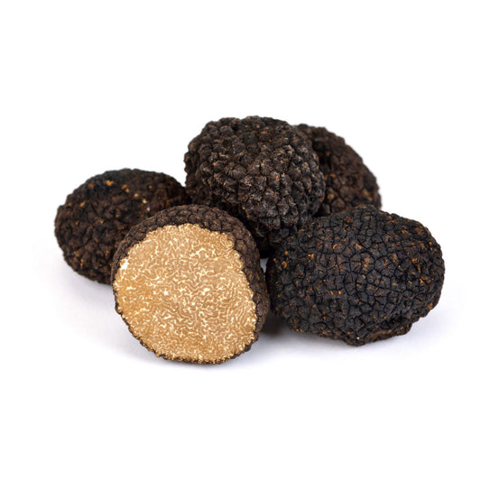 Tartufo nero uncinato fresco (tuber uncinatum chatin)