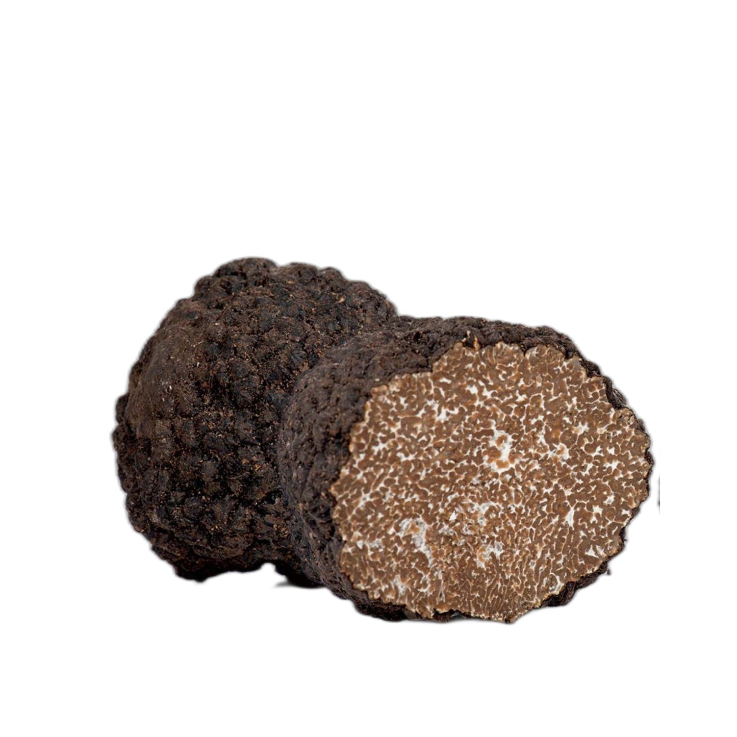Tartufo nero uncinato fresco (tuber uncinatum chatin)