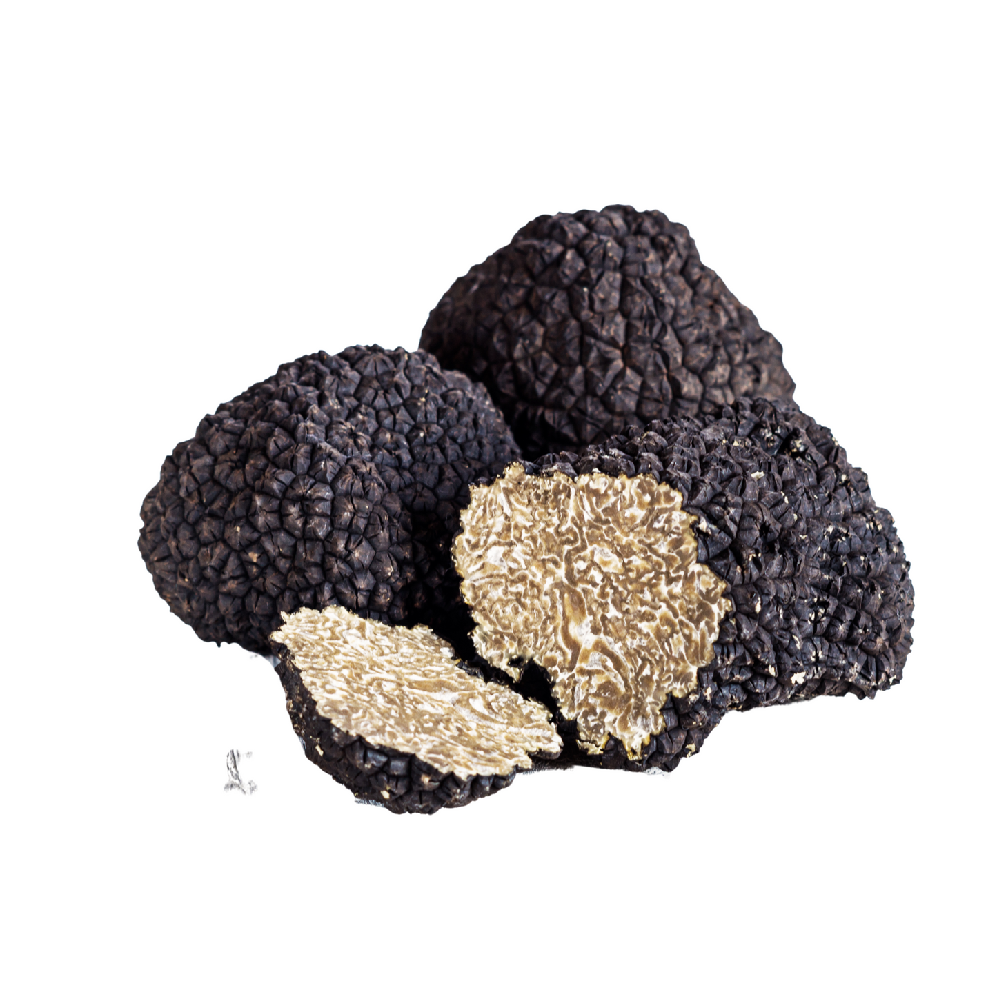 Tartufo Nero “Estivo” | Scorzone (tuber Aestivum Vittadini)