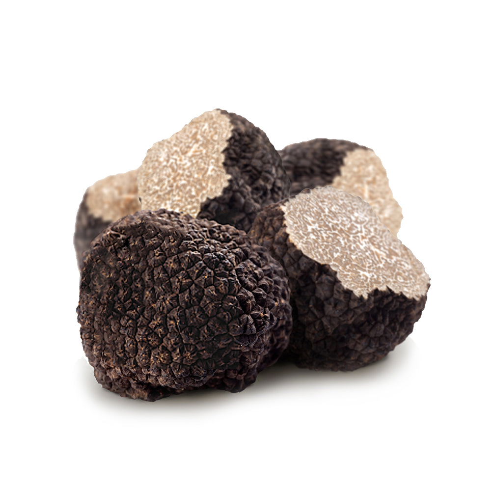 Tartufo Nero “Estivo” | Scorzone (tuber Aestivum Vittadini)